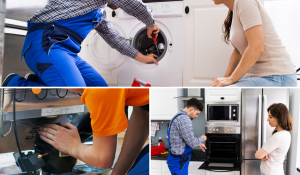Carpentry & Handyman Services